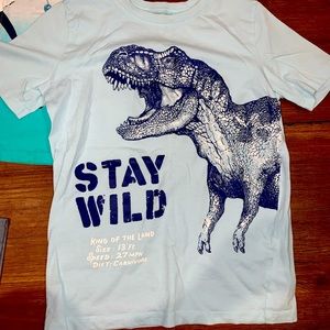 2 Shirts for $9, OshKosh brand like NEW